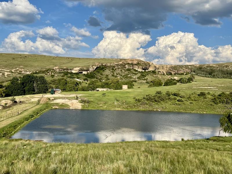 0 Bedroom Property for Sale in Fouriesburg Free State